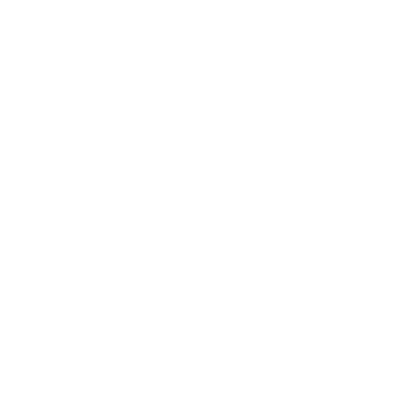 SNAAIES Logo