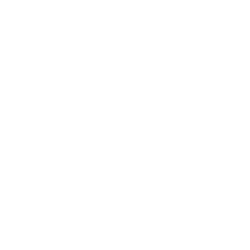 SNAAIES